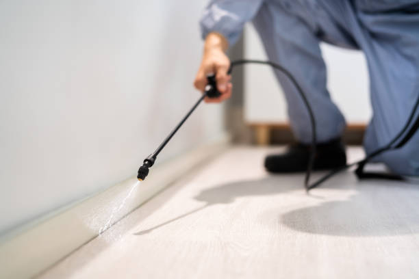Licensed Termite Control service in Bridgeport, MI - Nex Pest Control