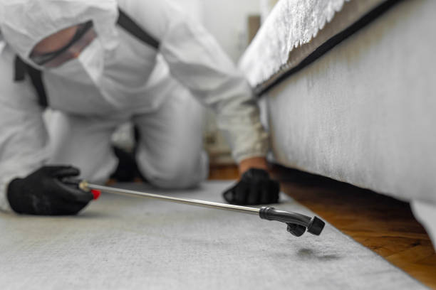 Professional Termite Control technician working in Bridgeport, MI