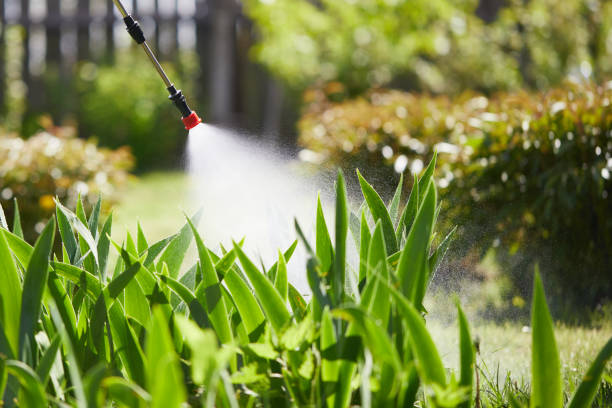 24/7 Emergency Termite Control experts in Bridgeport, MI