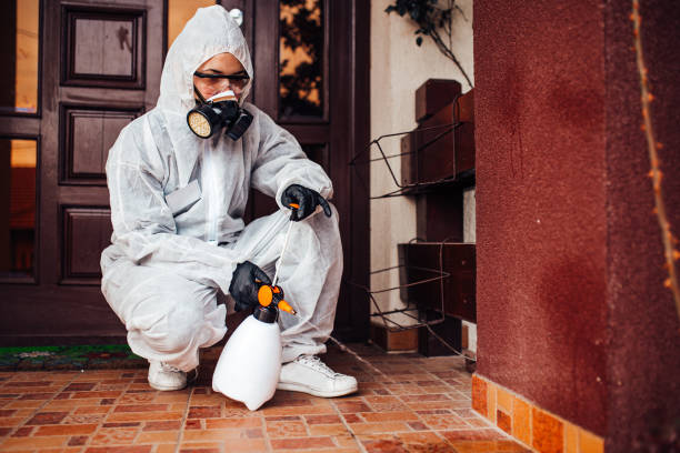 Reliable Termite Control contractor in Bridgeport, MI by Nex Pest Control